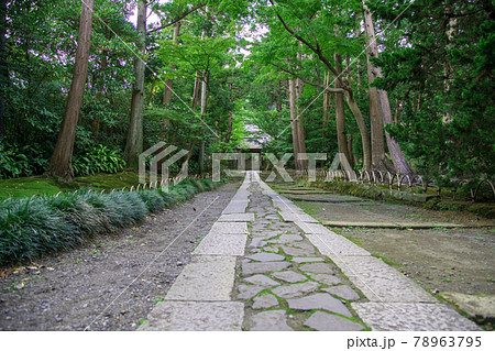 鎌倉寿福寺参道 鎌倉寿福寺参道 78963795