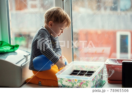 Little Caucasian boy 2 years old watering seedlings from a spray Little Caucasian boy 2 years old watering seedlings from a spray 78965506