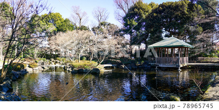 大田黒公園の庭(東京都杉並区) 大田黒公園の庭(東京都杉並区) 78965745