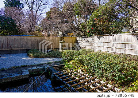 大田黒公園の庭（東京都杉並区） 78965749