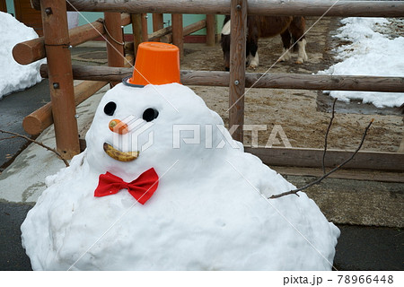 除雪した雪で作った雪だるま 除雪した雪で作った雪だるま 78966448