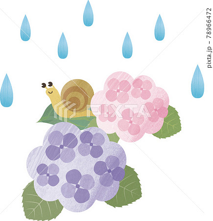 梅雨 雨 6月 紫陽花 あじさい アジサイ カタツムリ 花 自然 水彩タッチ イラスト素材のイラスト素材