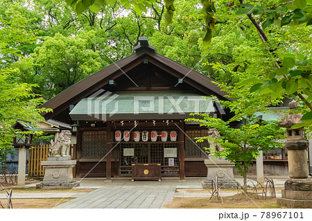 名古屋の氏神、那古野神社〈愛知県名古屋市〉 名古屋の氏神、那古野神社〈愛知県名古屋市〉 78967101