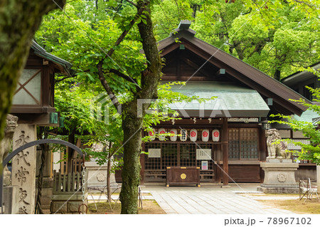 名古屋の氏神、那古野神社〈愛知県名古屋市〉 名古屋の氏神、那古野神社〈愛知県名古屋市〉 78967102