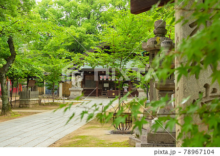 名古屋の氏神、那古野神社〈愛知県名古屋市〉 名古屋の氏神、那古野神社〈愛知県名古屋市〉 78967104