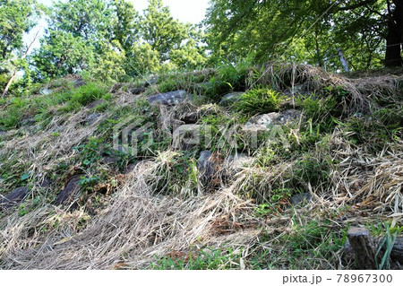 興国寺城 78967300