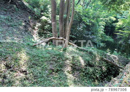 興国寺城 78967306