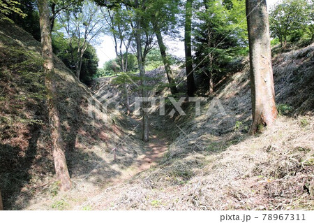 興国寺城 78967311