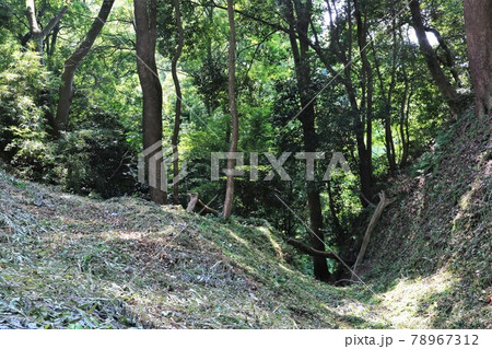 興国寺城 興国寺城 78967312