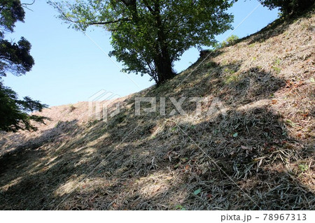 興国寺城 78967313