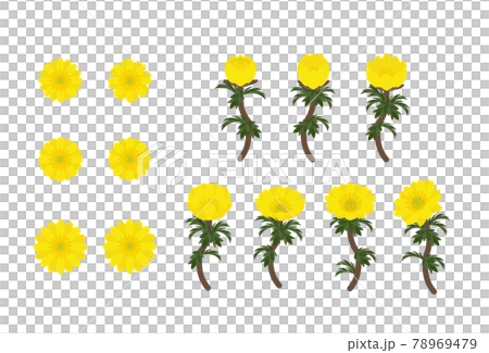 福壽莊套裝 78969479