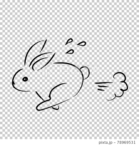 Rabbit illustration 78969531