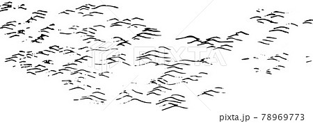 波立つ水面 78969773