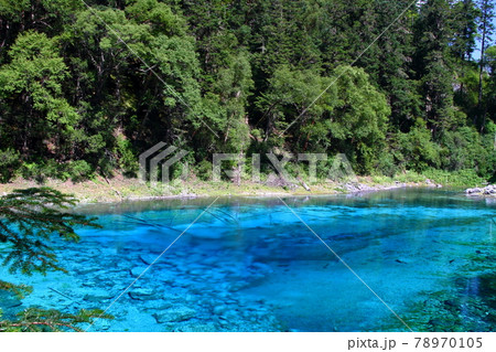 中国四川省 九寨溝の湖沼群 鮮やかな青の五彩池 中国四川省 九寨溝の湖沼群 鮮やかな青の五彩池 78970105