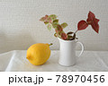 レモンとハツユキカズラのインテリアの写真 78970456