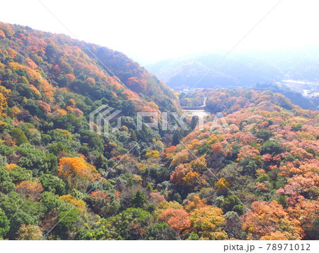 紅葉の山〜ドローンで空撮(徳島県板野町) 紅葉の山〜ドローンで空撮(徳島県板野町) 78971012
