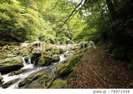 徳島県海陽町　轟九十九滝　遊歩道からの風景 78971448