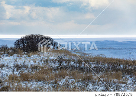 野付崎の風景 78972679
