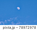 青空に浮かぶ夏至の月 78972978