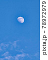 青空に浮かぶ夏至の月 78972979