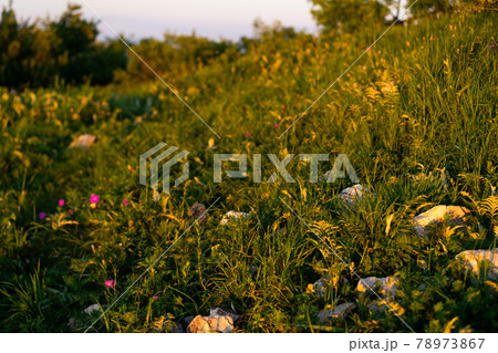 Mountain path uphill to the sky at sunset Mountain path uphill to the sky at sunset 78973867