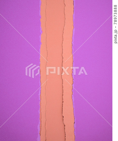 Hopbush purple color papers with burnt yellow torn papers texture abstract background. Hopbush purple color papers with burnt yellow torn papers texture abstract background. 78973888