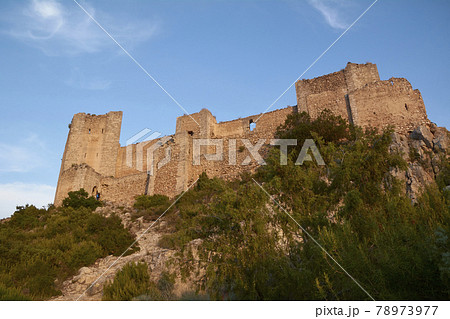 Majestic castle guarding the great mountain Majestic castle guarding the great mountain 78973977