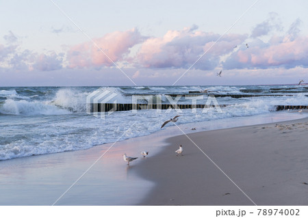 Sea, front scenic view of waves on the beach, travel and summer panoramic background, web banner 78974002
