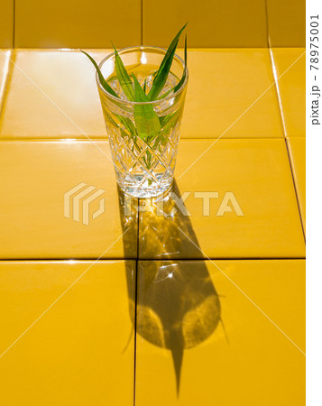 Refreshing summer drinks in crystal glasses with green leaves yellow tile background harsh shadows cold natural cocktail 78975001