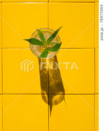 Refreshing summer drinks in crystal glasses with green leaves yellow tile background harsh shadows cold natural cocktail 78975004