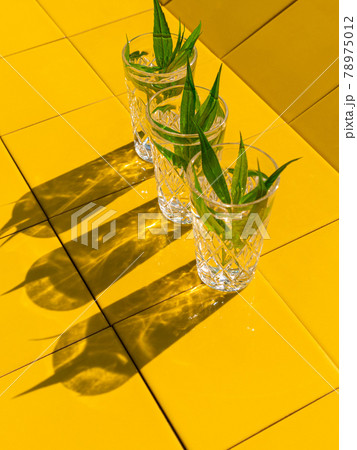 Refreshing summer drinks in crystal glasses with green leaves yellow tile background harsh shadows cold natural cocktail 78975012