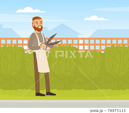 Young Man Trimming Hedge With Shears Male のイラスト素材