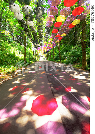 晴天下のアンブレラスカイ 晴天下のアンブレラスカイ 78976066