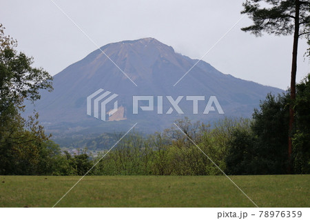 芝生広場から見た大山の見える風景 芝生広場から見た大山の見える風景 78976359