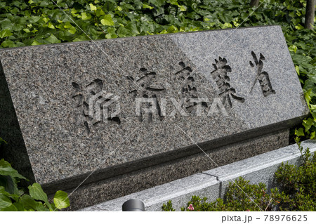 経済産業庁,省庁,行政,庁舎,看板, 経済産業庁,省庁,行政,庁舎,看板, 78976625