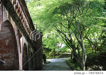 光があたる水路閣と最勝院の参道に続く青もみじのトンネルの道のある風景 78976654