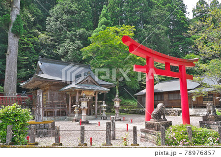 【池神社】 奈良県吉野郡下北山村池峯 78976857