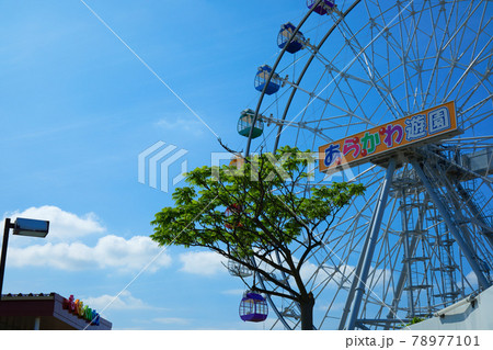 あらかわ遊園の新観覧車とカラスザンショウの若葉に新緑 もぐもぐハウス あらかわ遊園の新観覧車とカラスザンショウの若葉に新緑 もぐもぐハウス 78977101