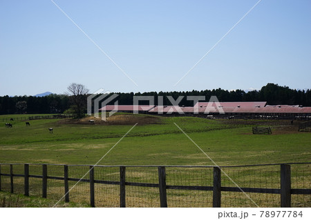 春の小岩井農場 78977784
