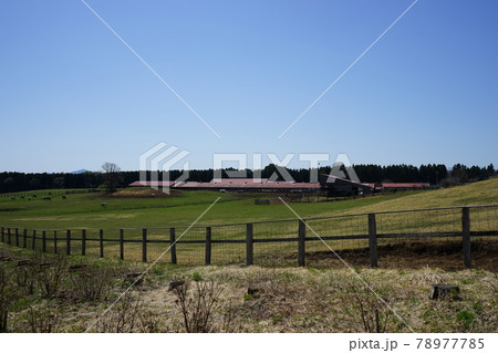 春の小岩井農場 78977785