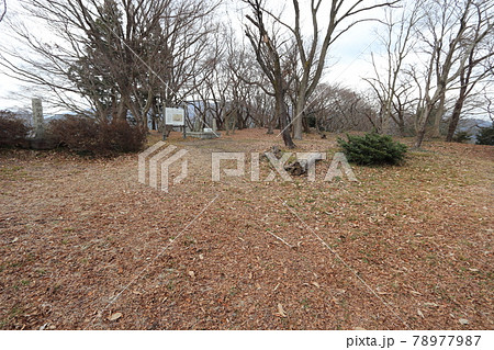 佐和山山頂の佐和山城本丸跡 佐和山山頂の佐和山城本丸跡 78977987