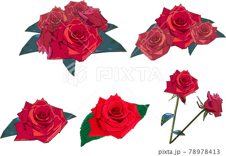 綺麗な薔薇の花セットのイラスト素材 [78978413] - PIXTA