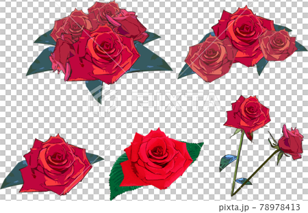 綺麗な薔薇の花セットのイラスト素材 [78978413] - PIXTA