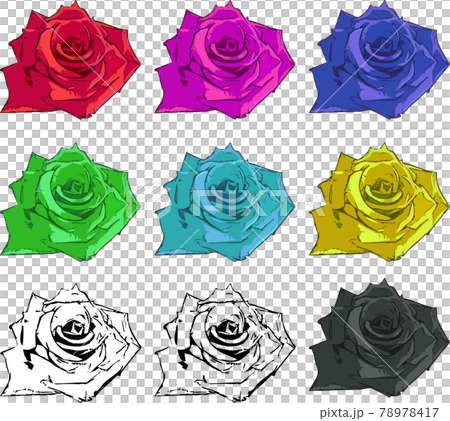 綺麗な薔薇の花のカラーセット 78978417