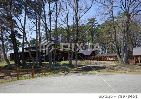 春の小岩井農場　まきば園 78978461