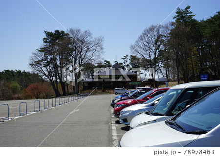 春の小岩井農場 まきば園 春の小岩井農場 まきば園 78978463