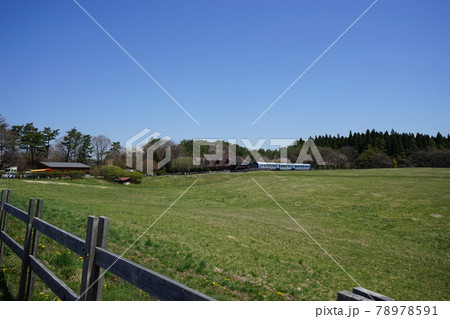 春の小岩井農場　SLD51 78978591