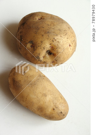 キタアカリ(上)とメークイン(下) キタアカリ(上)とメークイン(下) 78979430