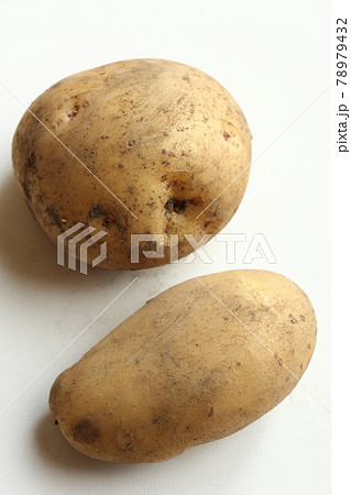 キタアカリ（上）とメークイン（下） 78979432