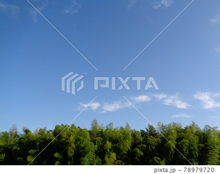 竹と空 竹と空 78979720